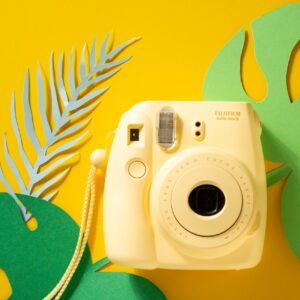 Perfect Diet & Meal Plan